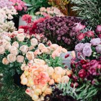 Blandade blommor